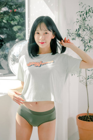 鸟与蜜蜂